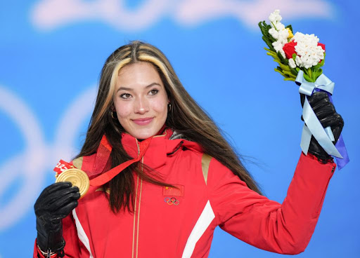 安博体育集团：田径高抬腿训练器材